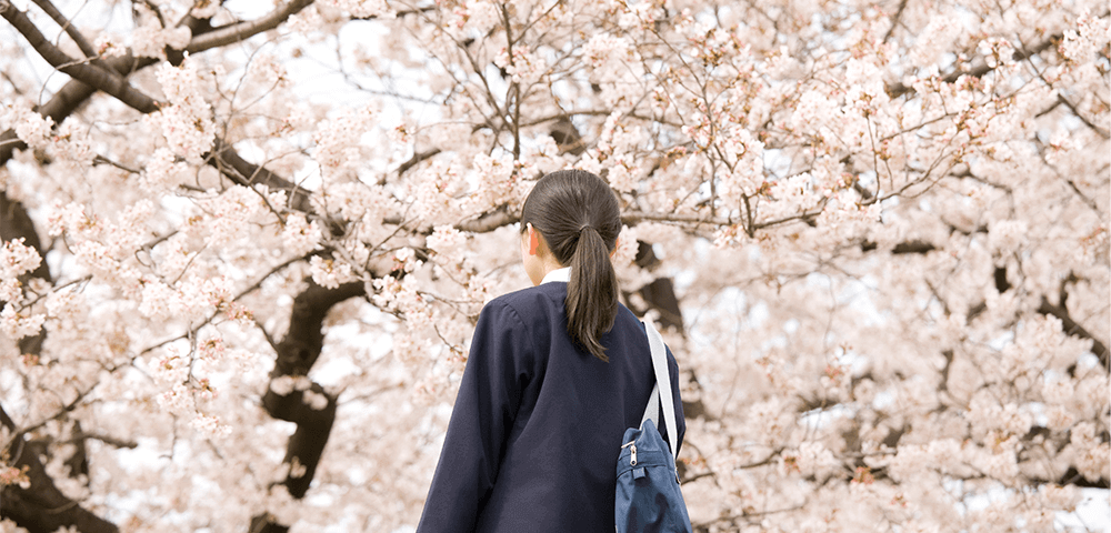 満開の桜の木を眺める女の子の画像