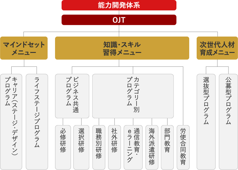 能力開発体系