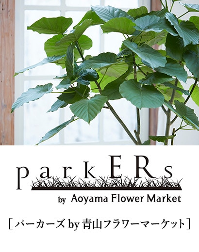 パーカーズby青山フラワーマーケット