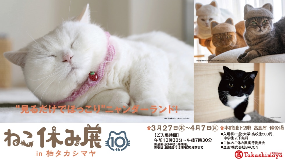 ねこ休み展