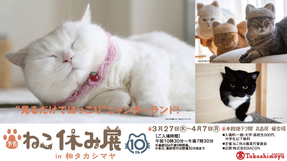 ねこ休み展