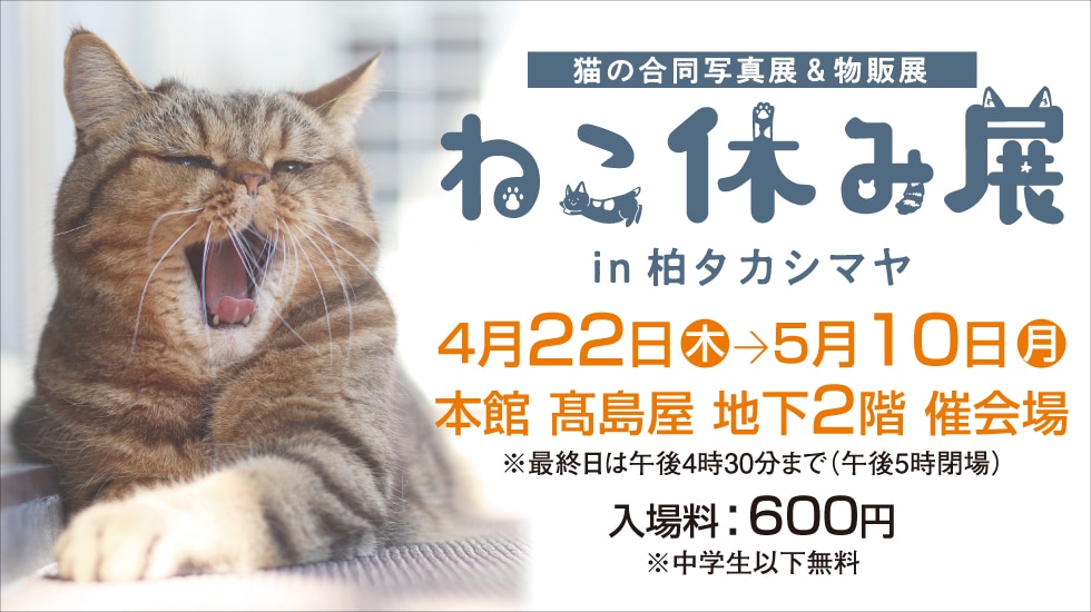 柏高島屋 トップページ