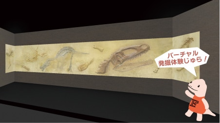 化石が散りばめられた３つの壁面