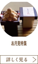 お月見特集