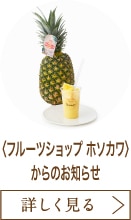 〈フルーツショップ ホソカワ〉からのお知らせ