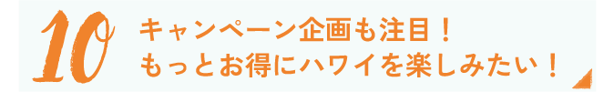 ワークショップ＆キャンペーン