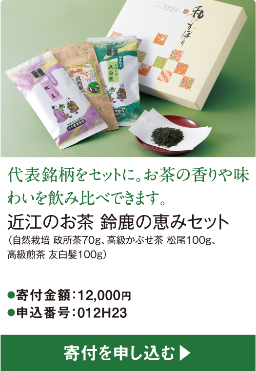 代表銘柄をセットに。お茶の香りや味わいを飲み比べできます。近江のお茶 鈴鹿の恵みセット