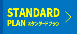 STANDARD PLAN
