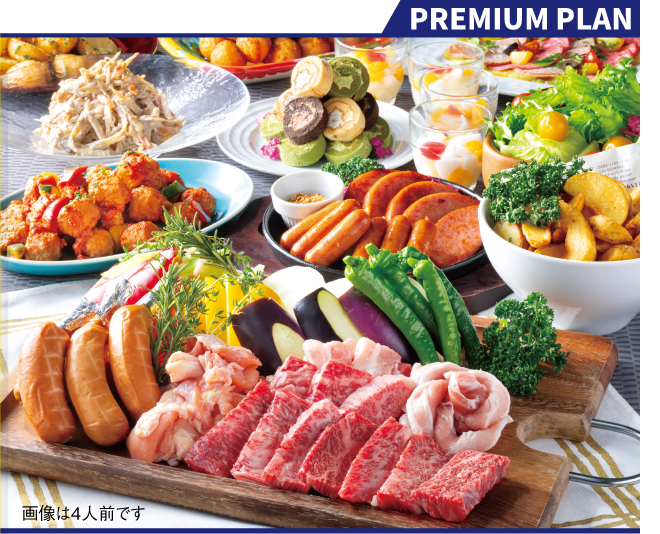 PREMIUM PLAN 