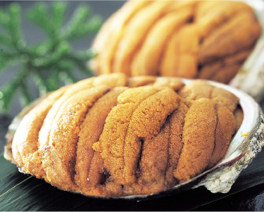 三陸産焼うに（マルト）