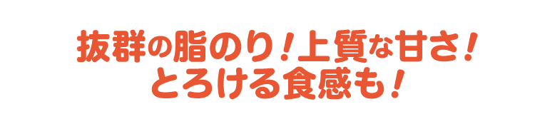 抜群の脂のり!上質な甘さ!!! とろける食感も!