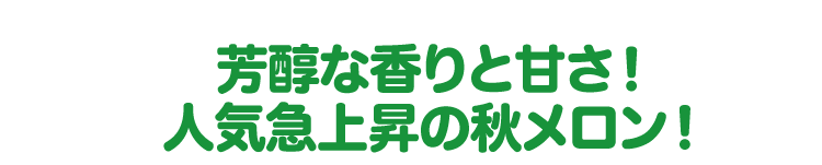 芳醇な香りと甘さ・!! 人気急上昇の秋メロン!