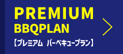 PREMIUM PLAN 
