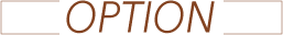OPTION