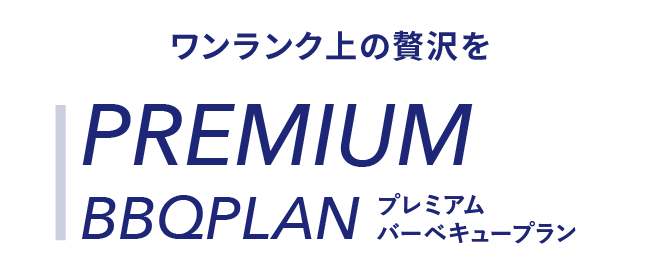 PREMIUM PLAN 