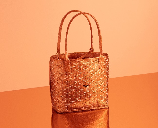 ☆値下げ☆【正規品】☆幻の商品！☆ゴヤール GOYARD アンジュミニ ...