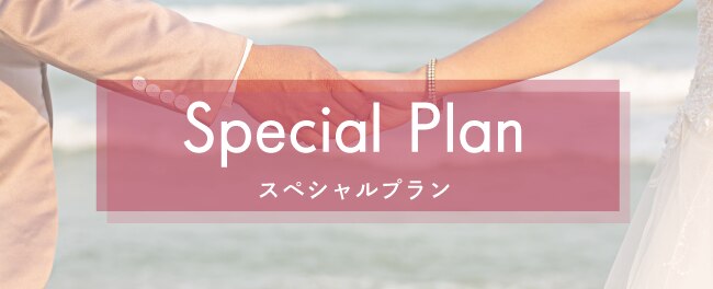 Special Plan　スペシャルブラン