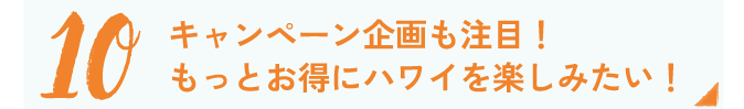 ワークショップ＆キャンペーン