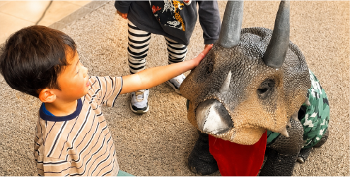 トリケラトプスの子ども「トリぼん」がやってくる!のイメージ