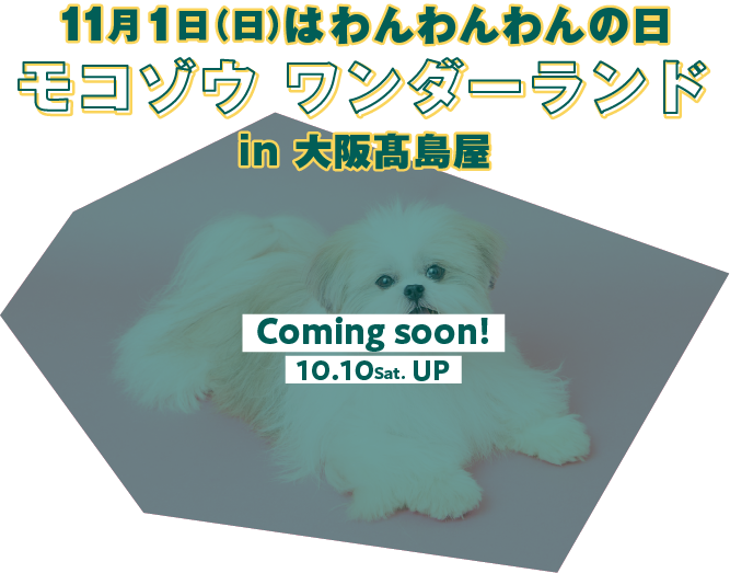 11月1日(日)はわんわんわんの日 モコゾウ ワンダーランド in 大阪高島屋 Coming soon! 10.10 Sat. UP