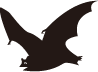 コウモリの装飾イラスト