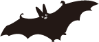 コウモリの装飾イラスト