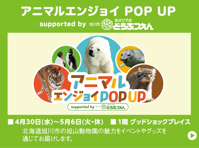 アニマルエンジョイ POP UP supported by 旭川市 あさひやまどうぶつえん ■ 4月30日(水)〜5月6日(火・休) ■ 1階 グッドショックプレイス 北海道旭川市の旭山動物園の魅力をイベントやグッズを通じてお届けします。