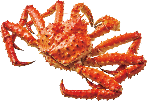 初夏の大北海道展 かに・たらばがに（装飾アイコン）