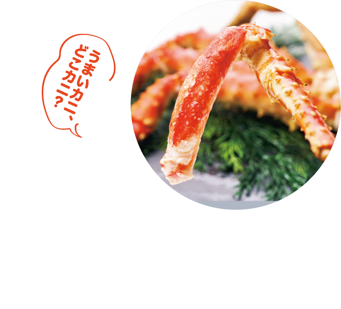 マルダイ水産 根室沖浜茹でたらばがに