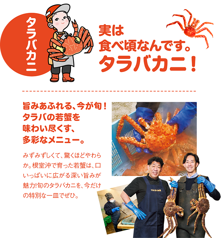 初夏の大北海道展 かに・たらばがに