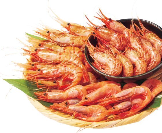 ふじと屋 生牡丹えび・生えび