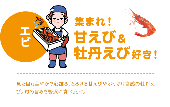 初夏の大北海道展 海老・えび