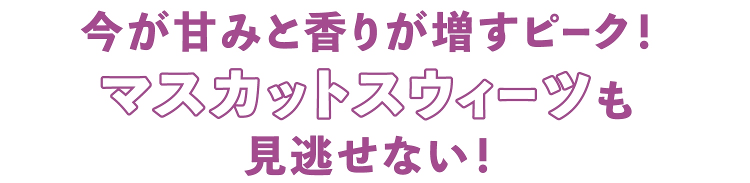 今が甘みと香りが増すピーク！マスカットスウィーツも見逃せない！