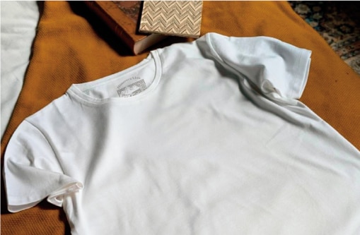 〈ヒマラヤライオン〉POP UPのイメージ