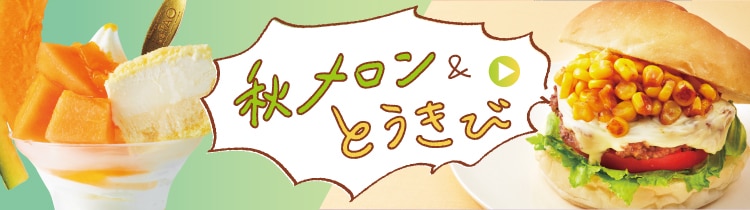 ナビ