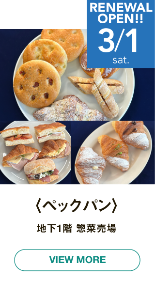 ナビ