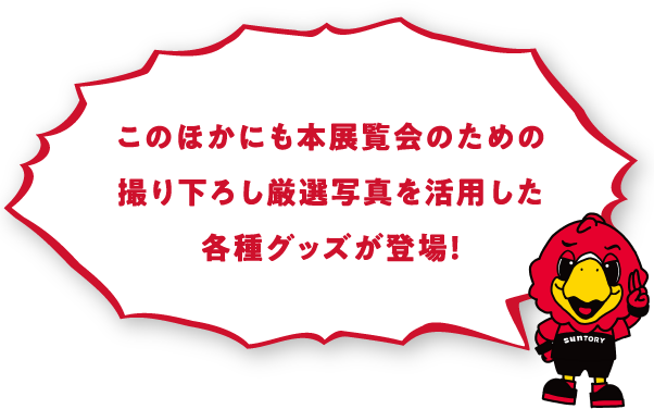 このほかにも本展覧会のための撮り下ろし厳選写真を活用した各種グッズも用意中！