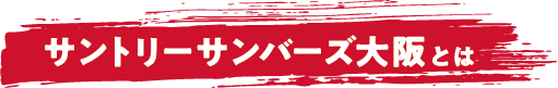 サントリーサンバーズ大阪とは