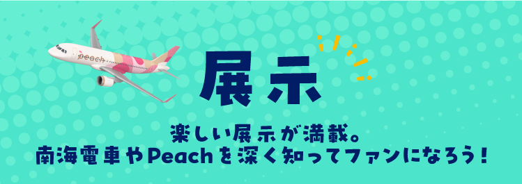 展示