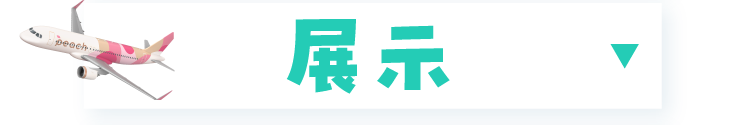 展示