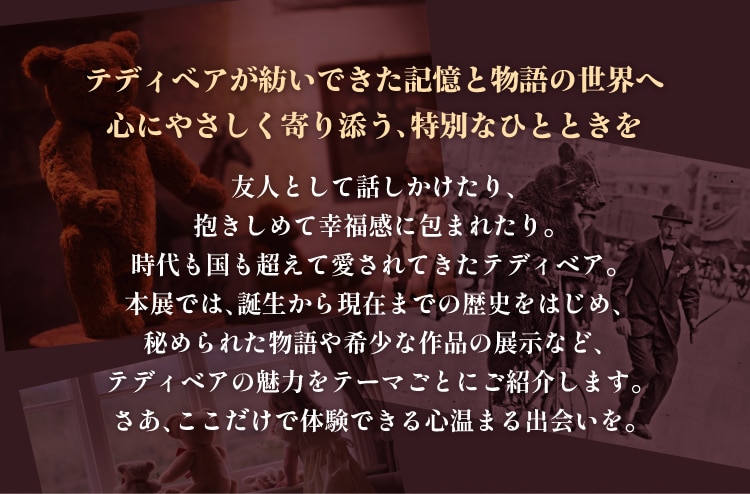 テディベアが紡いできた記憶と物語の世界へ心にやさしく寄り添う、特別なひとときを