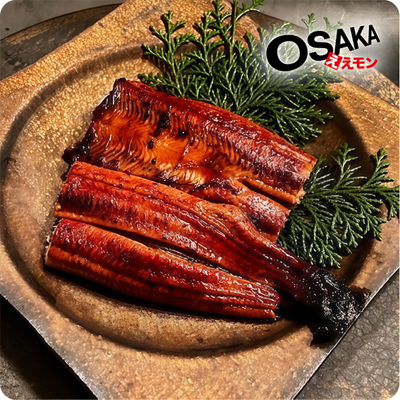 〈れいわ水産〉大阪産美陵鰻 POP UP