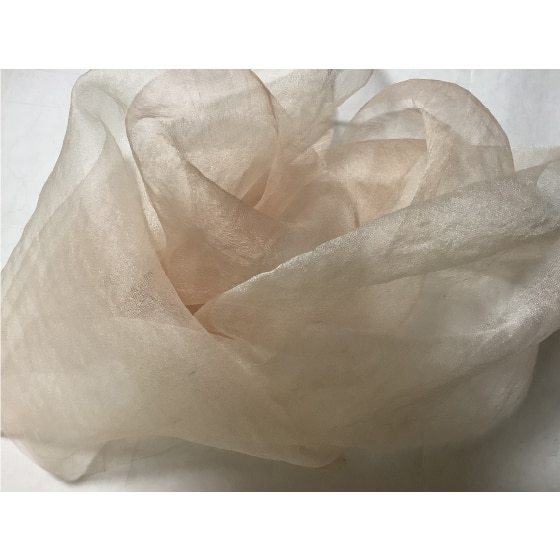 寺川真弓織展 天の虫