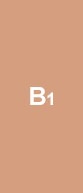 b1F