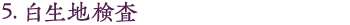 6.白生地検査