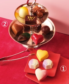 ヴィタメールイメージ画像