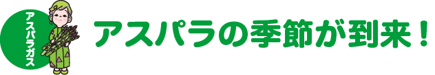 アスパラガス アスパラの季節が到来！