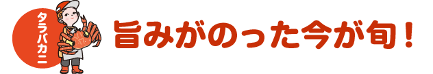 タラバガニ 旨みがのった今が旬！