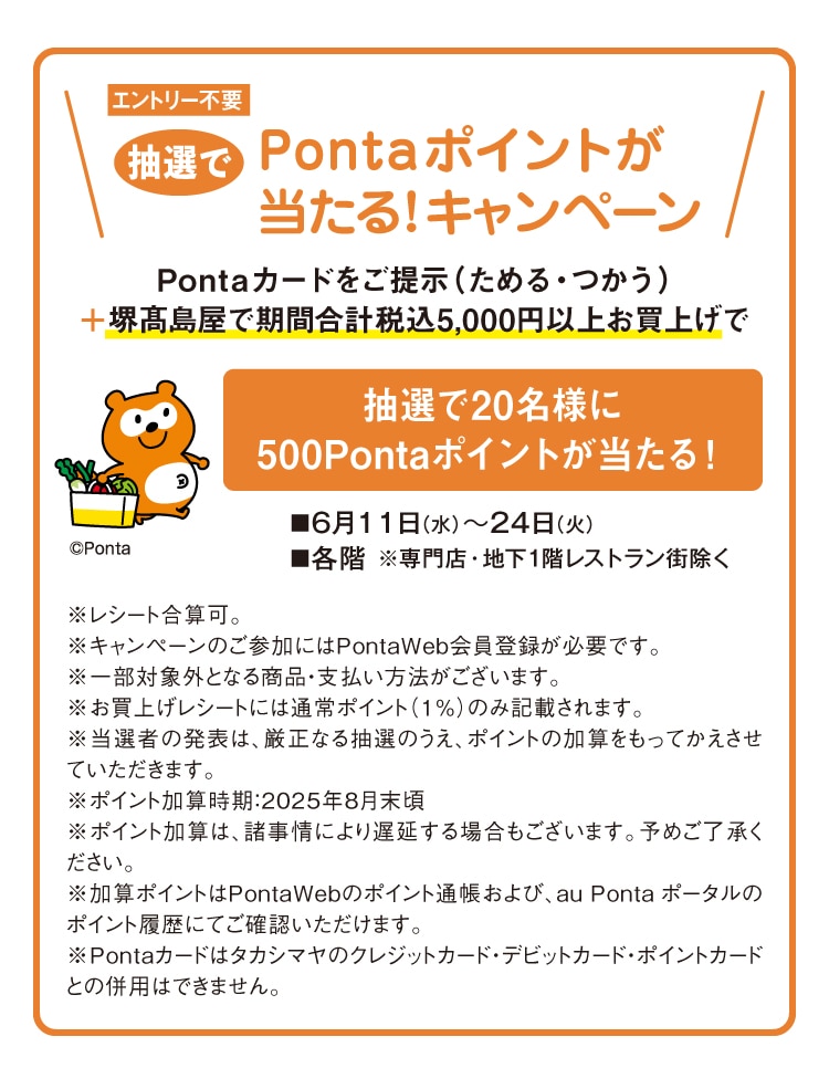 詳細情報