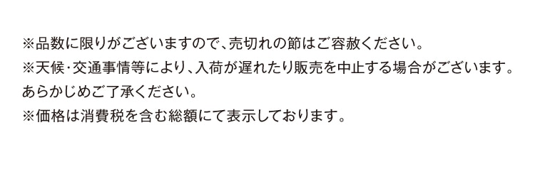詳細